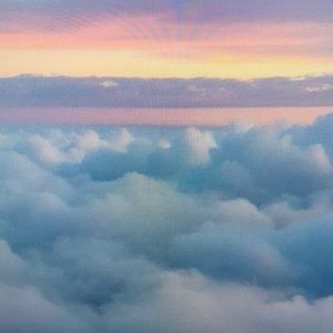 Meet your Posher, Donald